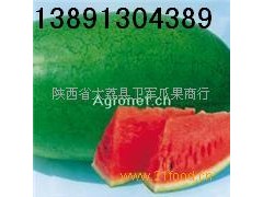 陕西大棚西瓜基地大量上市/京新西瓜/8424西瓜产地最新价格图3