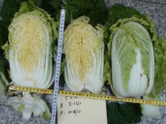简介：