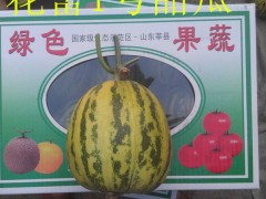 供应莘县秋延迟顶花带刺津绿密刺油亮黄瓜图3