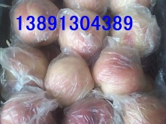 本地大量代办出售中晚熟纸袋，膜袋；毛桃；沙红桃，北京八号,红不软桃，秦王桃，阿布白，富岛桃王，超越一号毛桃，中华甜桃王，200-1桃子，中华寿桃等各种早晚熟桃子。沙红桃是这里的主导产品，沙红桃具有；色泽艳，果实大，硬度好，耐贮存，商品性好，桃子成熟后不摘不落，货架期长达1个多月，采收后10天不变味，半月不变坏等特点。大量成熟。本地桃子种植面积很大，货源十分充足。桃子品种很多，货源广，从6月-10月份都有不同品种的新鲜桃子成熟。欢迎洽谈订购合作。热线电话；13891304389   QQ;微信； 965197896