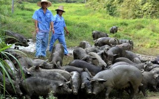 江西万载：打造全国有机农业示范基地