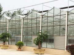 神农花卉园艺资材市场招商图3