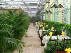 神农花卉园艺资材市场招商图2