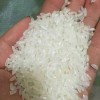 五常稻田园大米