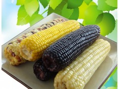 神农粘豆包图3