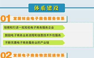 图解：国家林业局关于推进全国林业电子商务发展的指导意见