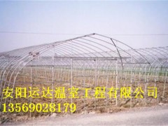 镀锌钢管大棚建造成本安徽蔬菜大棚建造图2