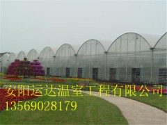 建一个简单点连栋温室需要多少钱钱图2