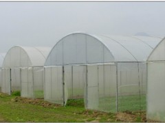 大棚建造椭圆管骨架济南蔬菜大棚建造基地图2