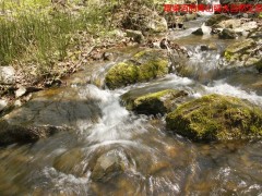 大美取柴河农业电子商务创客园招商合作图2