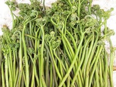 蕨菜