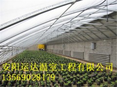 双梁温室大棚建设方案新郑市几字钢温室建造公司图2