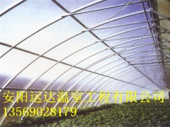 双梁温室大棚建设方案新郑市几字钢温室建造公司图3