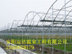 三门峡镀锌管大棚制作现场图片连栋拱型温室建造特点图2