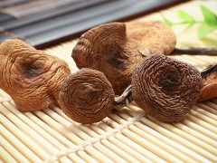 取柴河山泉野生榛蘑图2