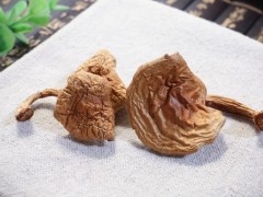 大美取柴河山泉滑子蘑图3