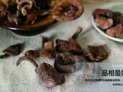 大美取柴河山泉榛蘑图3