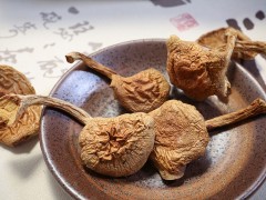 大美取柴河山泉滑子蘑图2
