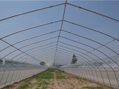 安阳运达蔬菜大棚建造中心简易大棚建造造价图2