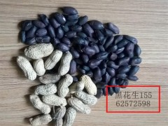 黑色保健食品  黑花生种子图3