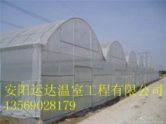 温室大棚建造安装汉中市种植连栋温室建造设计图图3