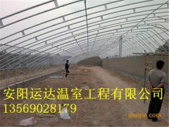 几字钢骨架蔬菜大棚建造价格日光温室建造方案图3