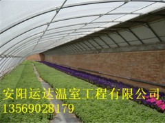 几字钢温室建造安装朔州西瓜大棚建造技术价格图2