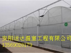 秦皇岛椭圆管大棚棚建造费用连栋温室建设基地图3