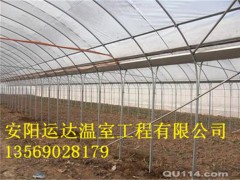 桐城无立柱钢架拱棚建造简易连栋拱棚建造价格图2