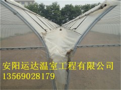 桐城无立柱钢架拱棚建造简易连栋拱棚建造价格图3