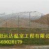 南阳农业蔬菜大棚建造技术钢架单栋大棚建造安装