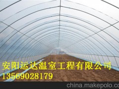 南阳农业蔬菜大棚建造技术钢架单栋大棚建造安装图3