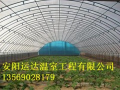 日光温室建造设计安装山东济南单栋温室建造公司图2