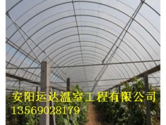 新密市连栋拱型温室建造预算西瓜大棚建造造价图3
