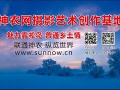 神农网摄影艺术创作基地