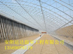 食用菌单栋大棚建造报价运达日光温室建造方案图3
