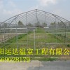 安庆农业蔬菜温室大棚建造造价塑料大棚建造技术