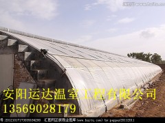 几字钢骨架大棚建设厂家信阳花卉大棚建造价格图2