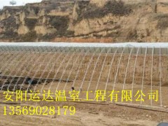 双层日光温室怎么建造建造土坑棚温室公司哪里找图3