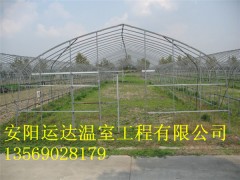 平顺县春秋大棚冷棚蔬菜大棚建造价格是多少图2