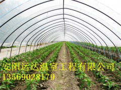 平顺县春秋大棚冷棚蔬菜大棚建造价格是多少图3