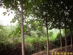 简介：
