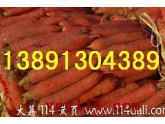 陕西万亩优质红萝卜基地批发，红萝卜产地批发价格图3