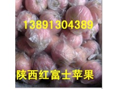 陕西纸袋红富士苹果产地，纸夹膜红富士苹果产地批发价格图3
